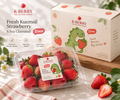 Fresh Kuemsil Strawberries 8.8oz Dino Pack